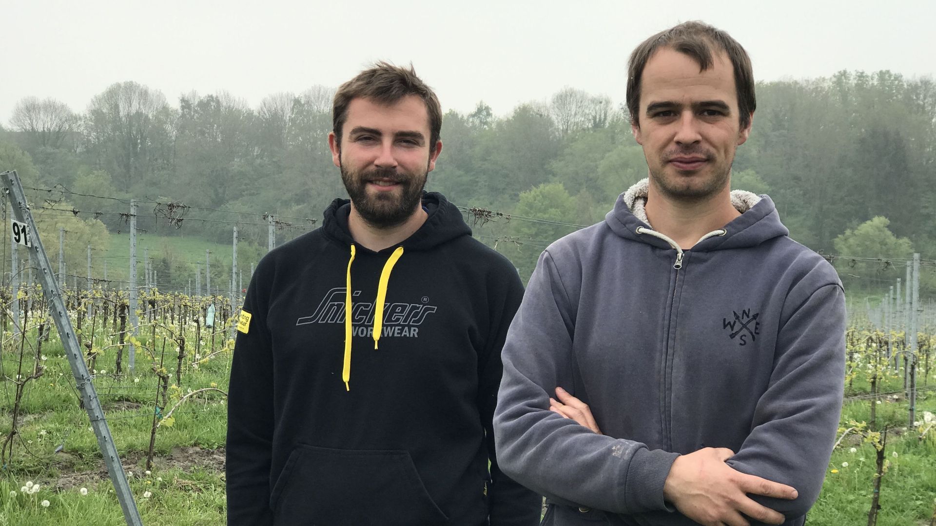 Bertrand et Guillaume Hautier sont aux petits soins pour le vignoble qu'ils gèrent avec leurs parents depuis quelques années.