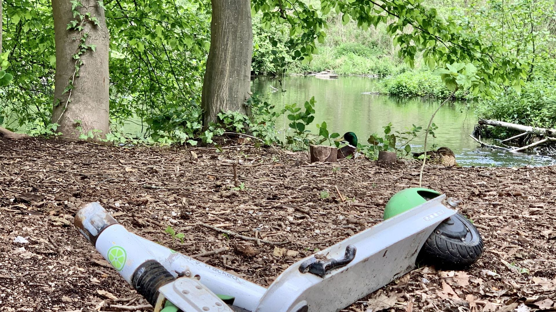 Une carcasse de trottinette partagée laissée à l'abandon dans le parc Malou à Woluwe-Saint-Lambert