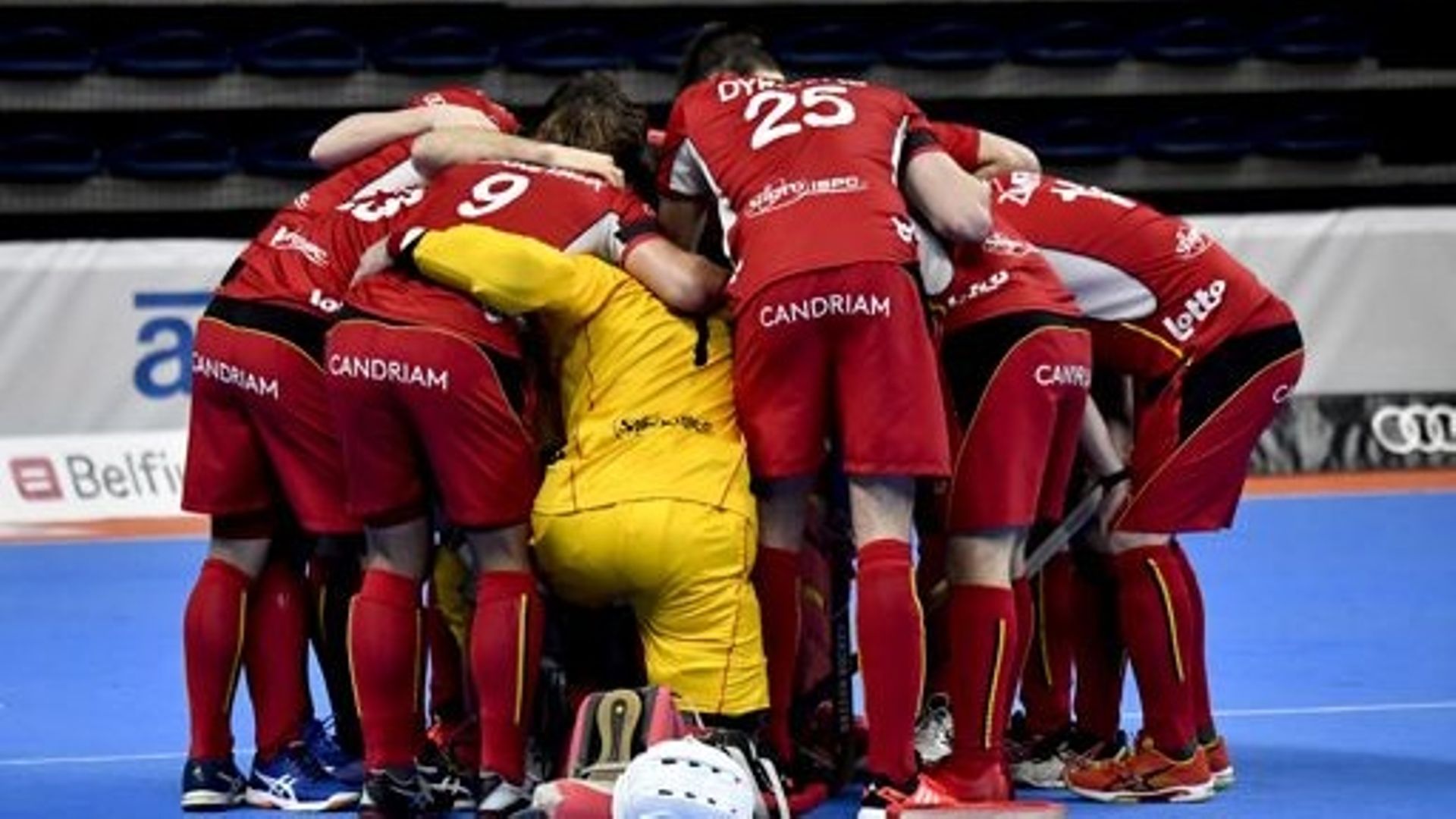 Les Indoor Red Lions (archive)