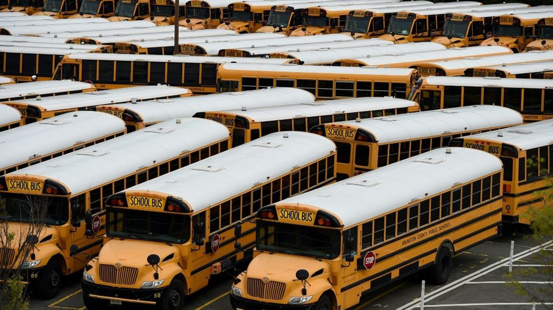 Des bus scolaires sur un parking d'Arlington en mars 2020, en Virginie