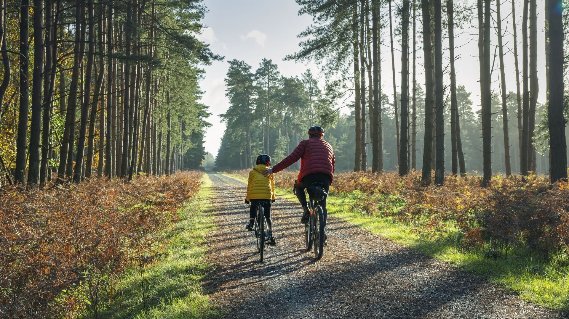‘Rien ne va dans la bonne direction au niveau mondial’ et pourtant, investir dans la santé de la planète rapporterait gros, selon un rapport de l’ONU