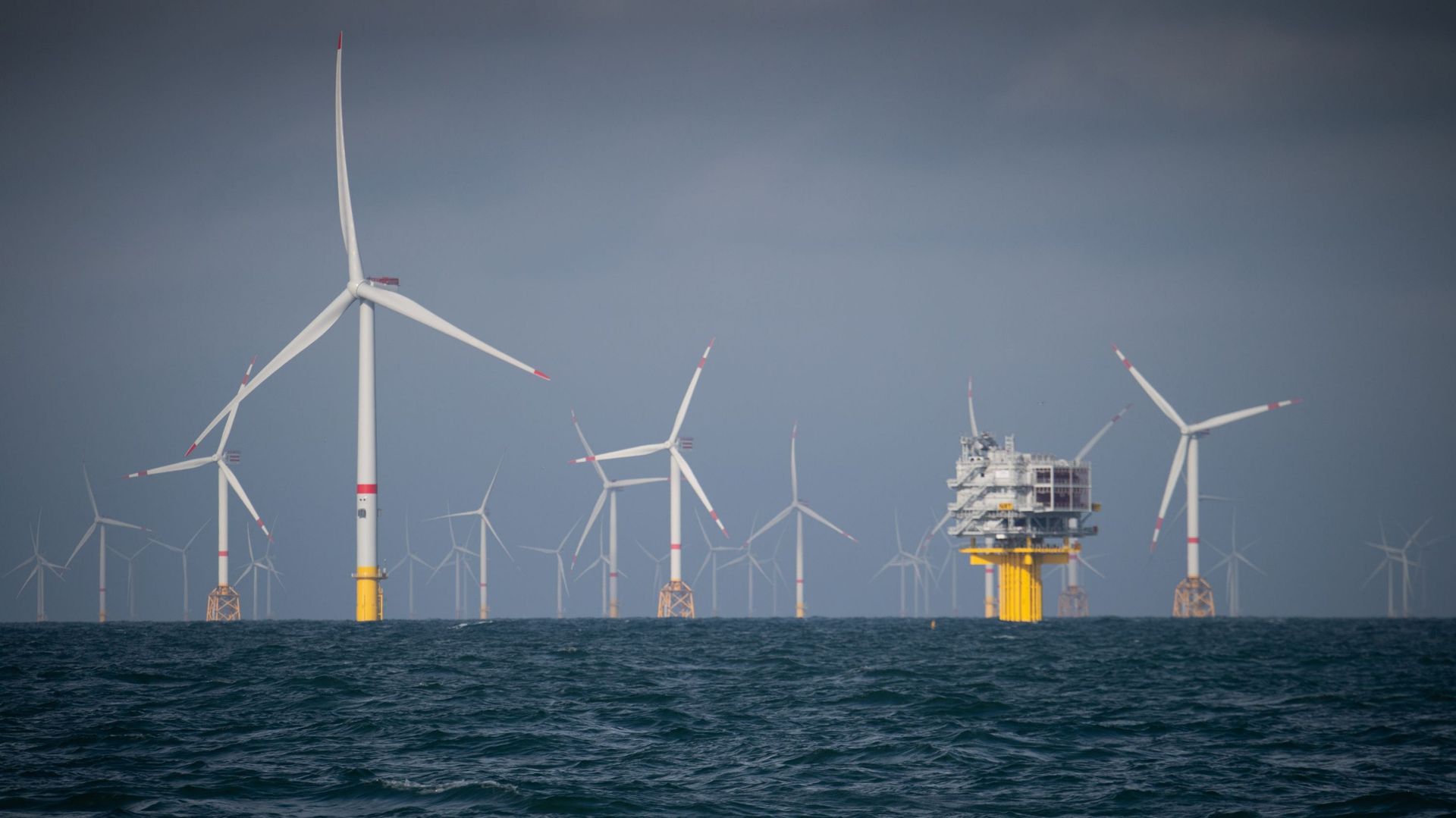 Les pêcheurs européens s'inquiètent des parcs éoliens offshore