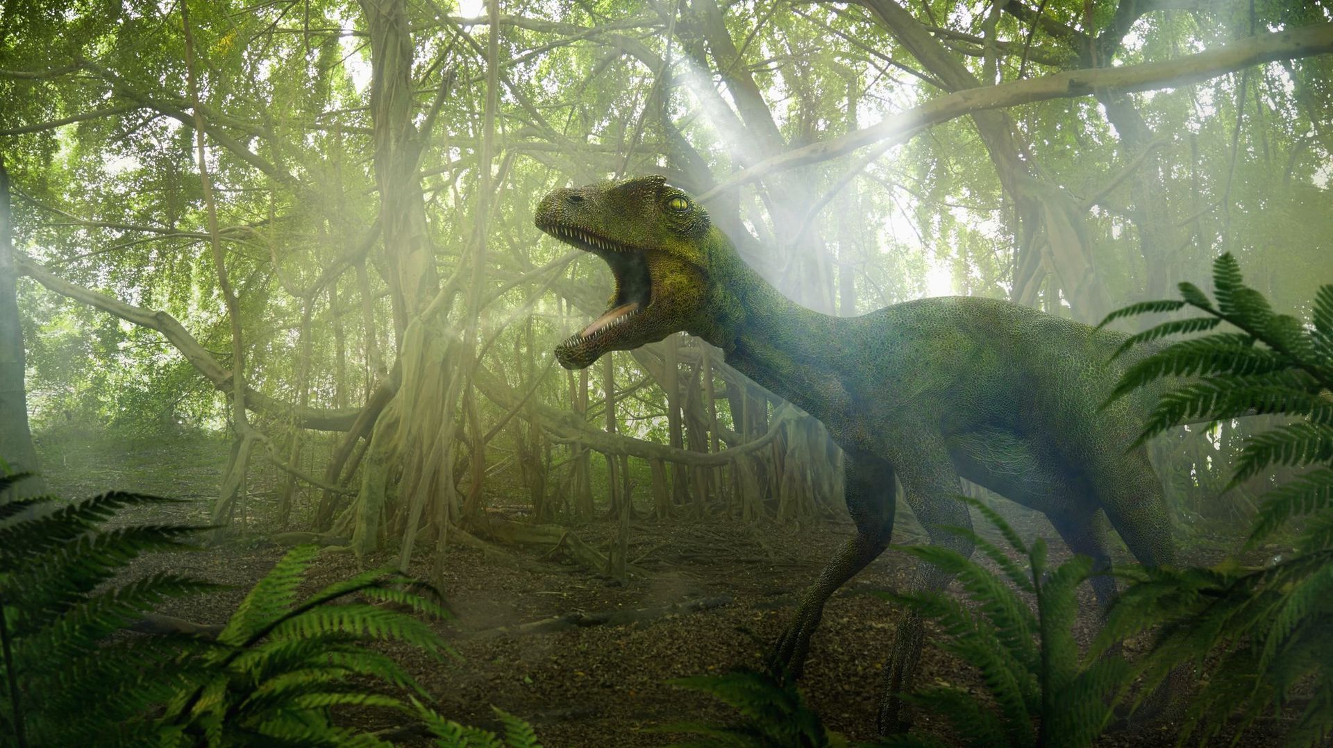 Les dinosaures auraient continué à prospérer sans l'astéroïde qui les a tués, selon les chercheurs