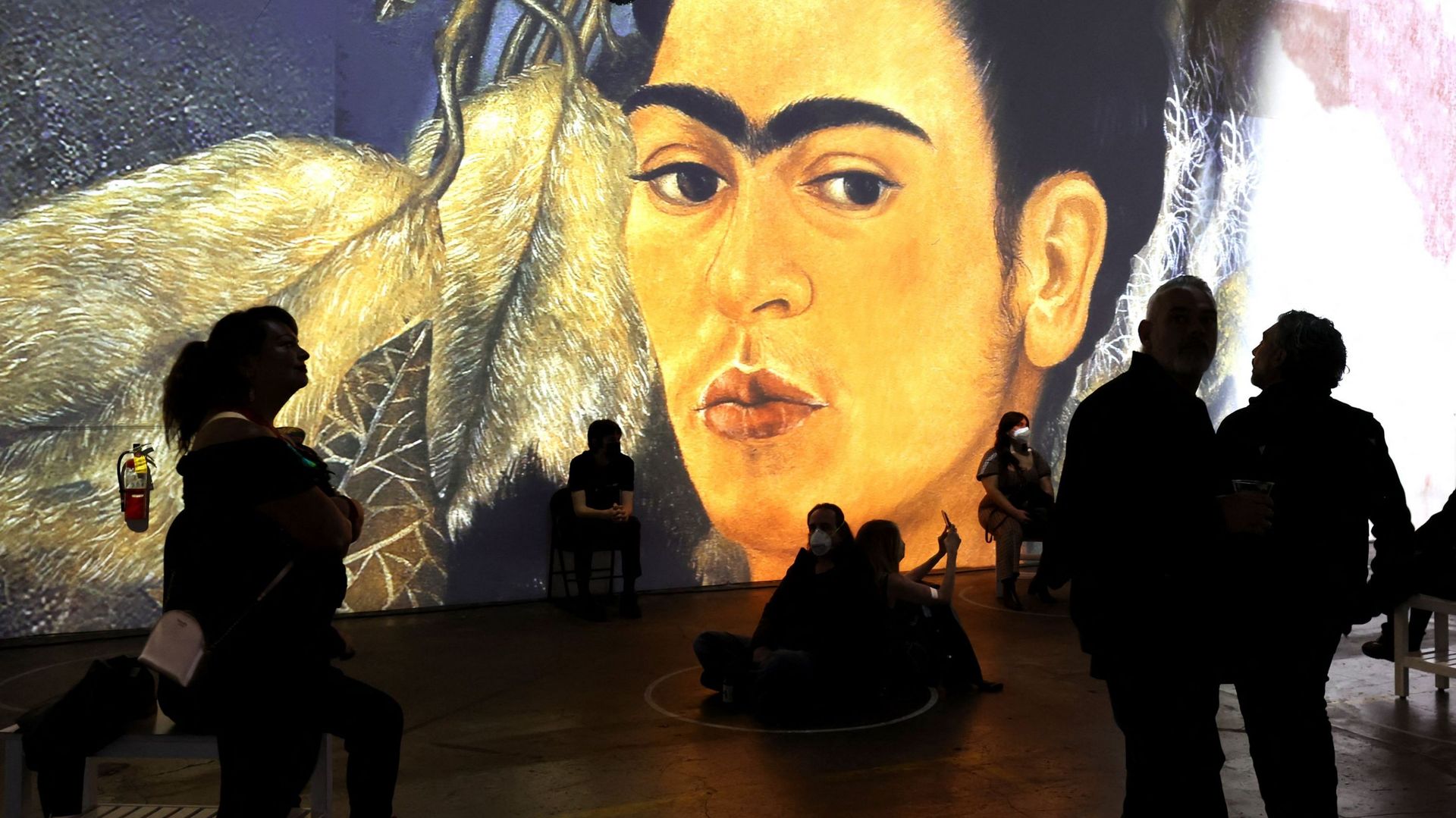 Immersive Frida Kahlo Exhibit To Open In San Francisco
