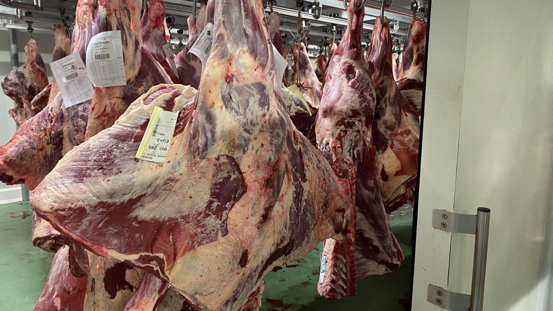 La chambre froide où sont stockées les carcasses, à Perwez.