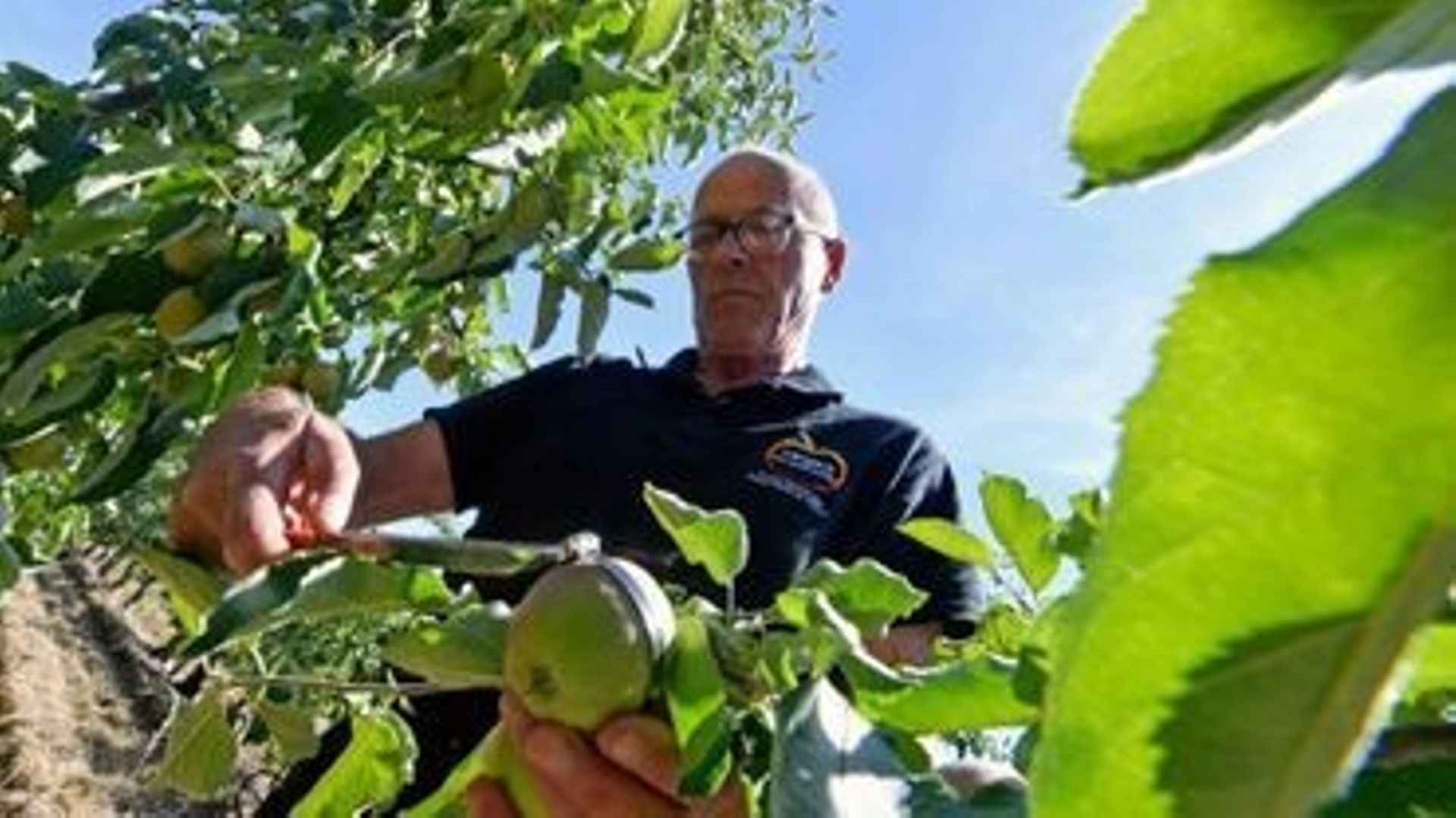 Faire évoluer l'arboriculture ?