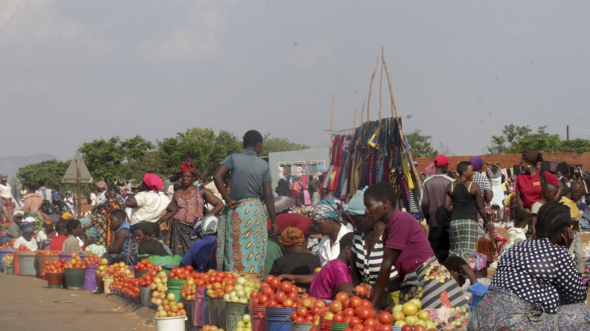 Des vendeurs de tomates sont vus au bord de la route à Dowa. Malawi.