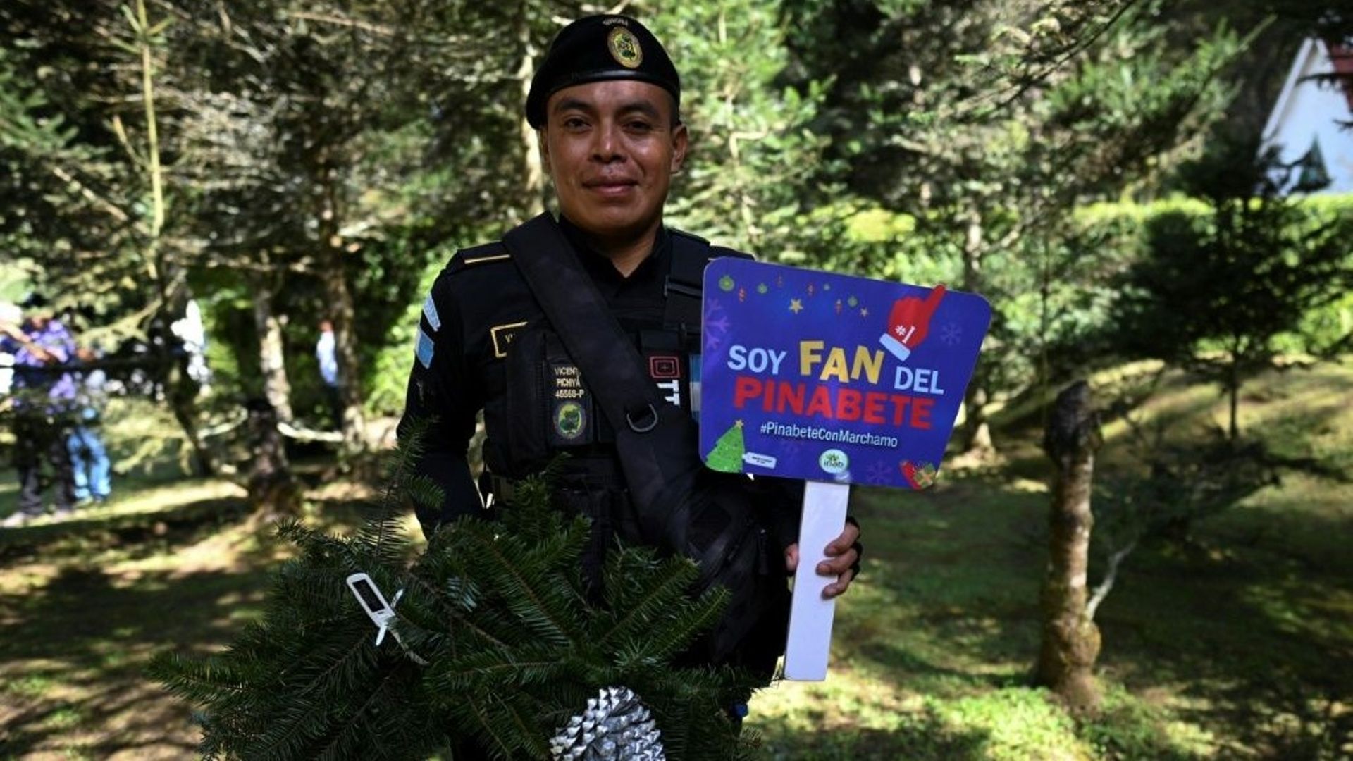 Un policier participe à une campagne de protection du "pinabete" à la ferme Helvetia à Tecpan, au Guatemala, le 11 novembre 2022.