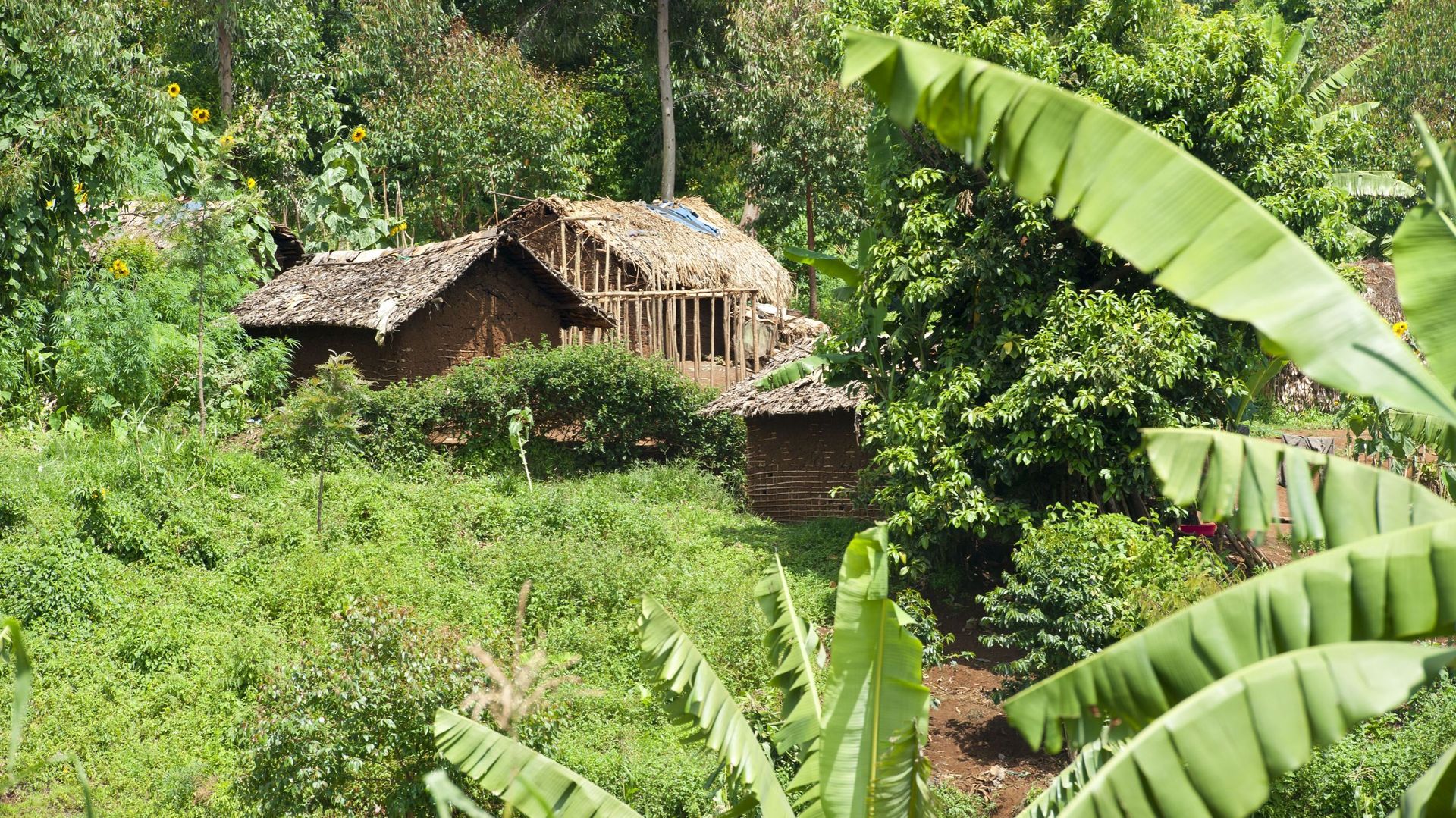 RDC : 18 civils tués dans une attaque contre un village du Sud-Kivu