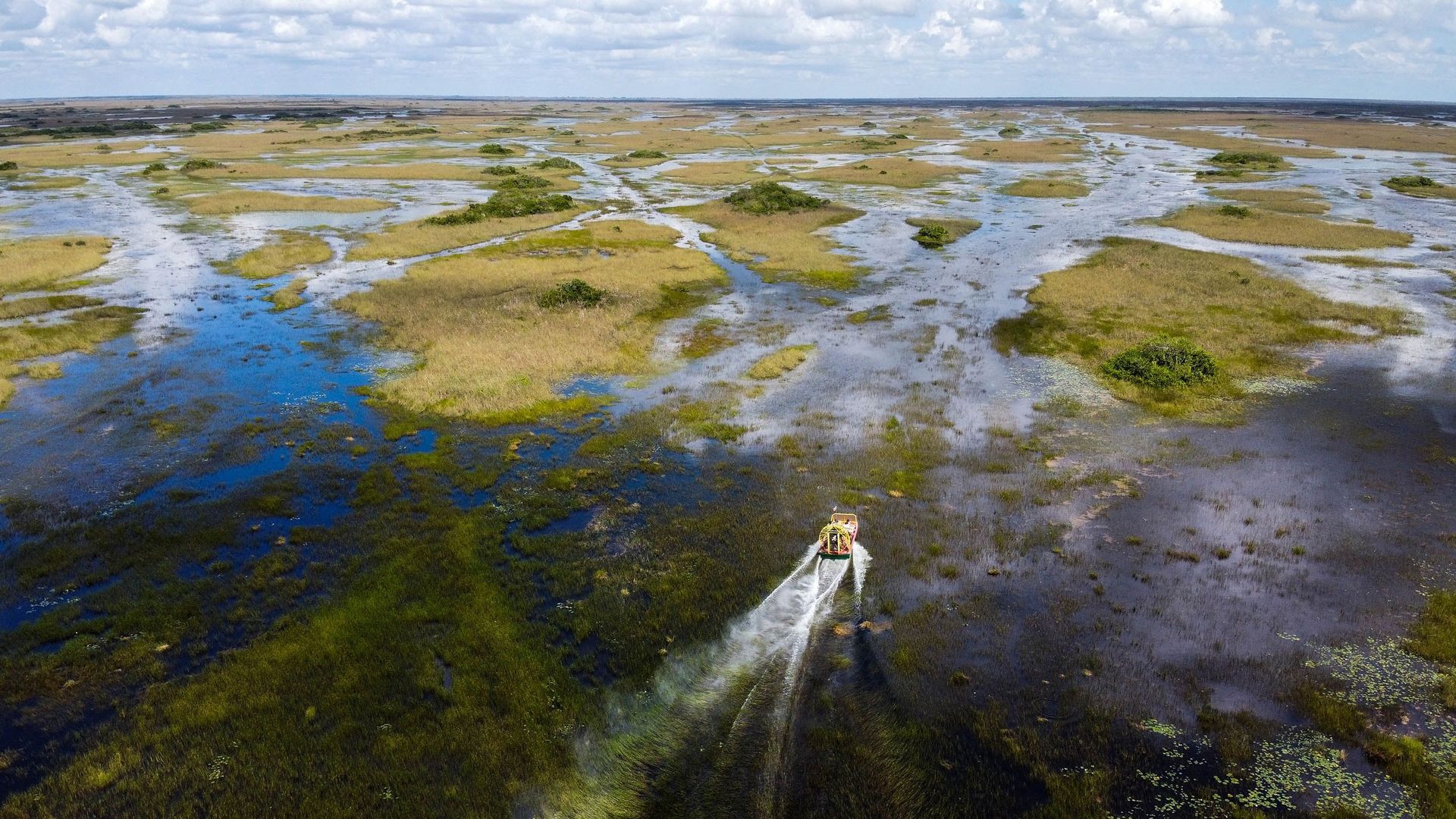 Le marécage des Everglades, un joyau de Floride menacé par le changement climatique.