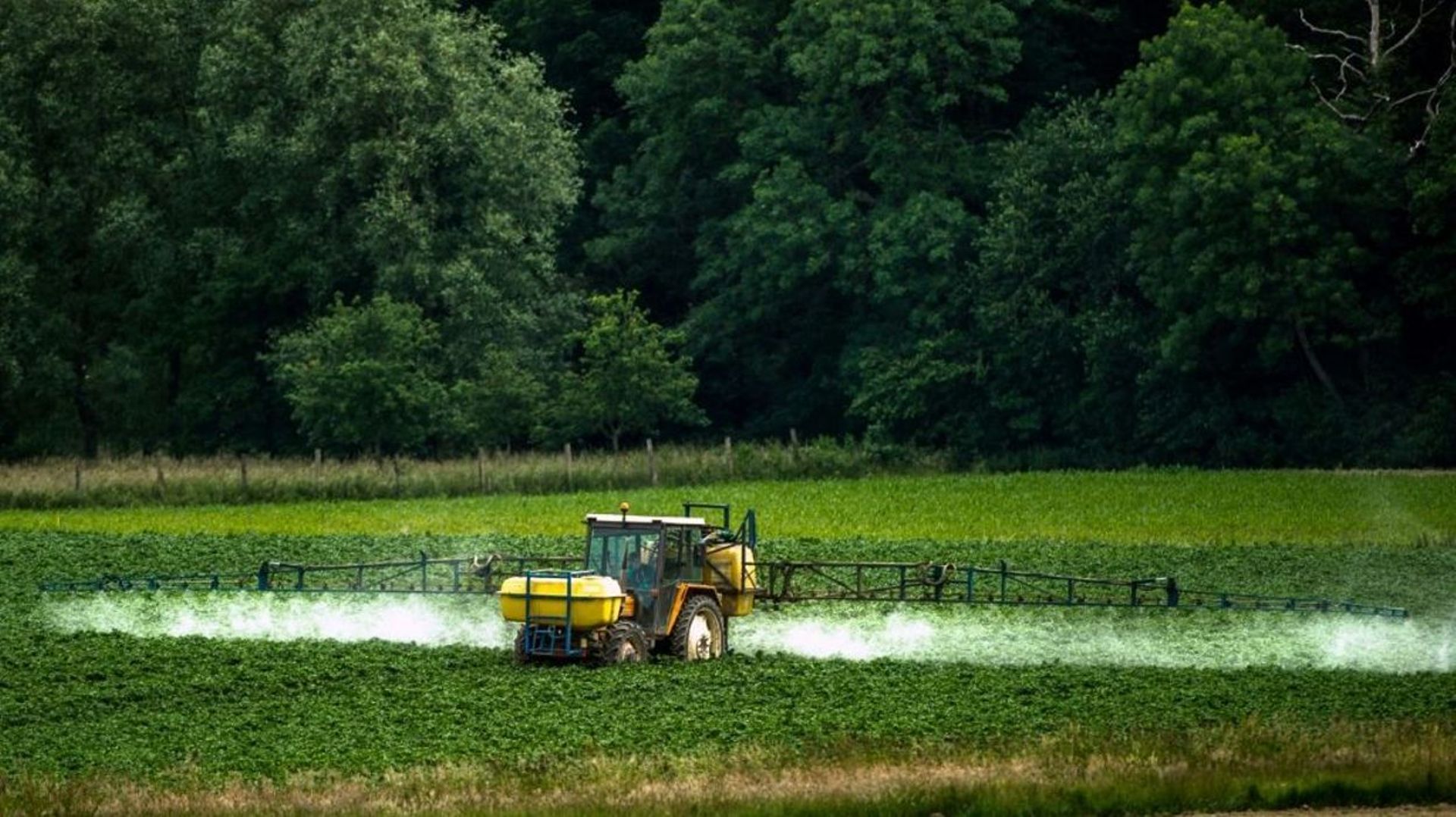 Une vaste étude scientifique sur l'exposition aux pesticides des riverains avait révélé des taux anormalement élevés dans les cours d'écoles et dans les jardins (illustration).