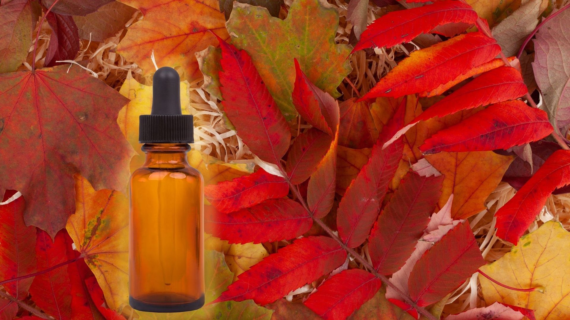 Les 5 huiles essentielles indispensables pour l’automne
