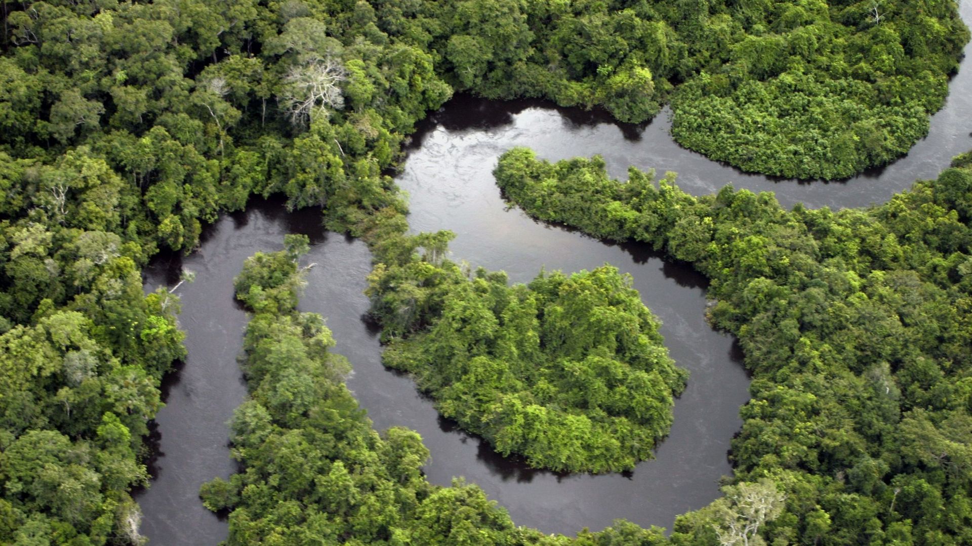 La déforestation ralentit sur Terre mais reste trop rapide, s'inquiète la FAO