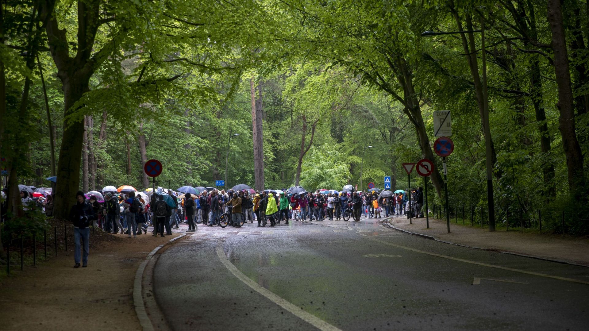 Des personnes se rassemblent pour la deuxième édition de la "Manifestation mondiale pour la liberté" au Bois de La Cambre à Bruxelles, le samedi 15 mai 2021