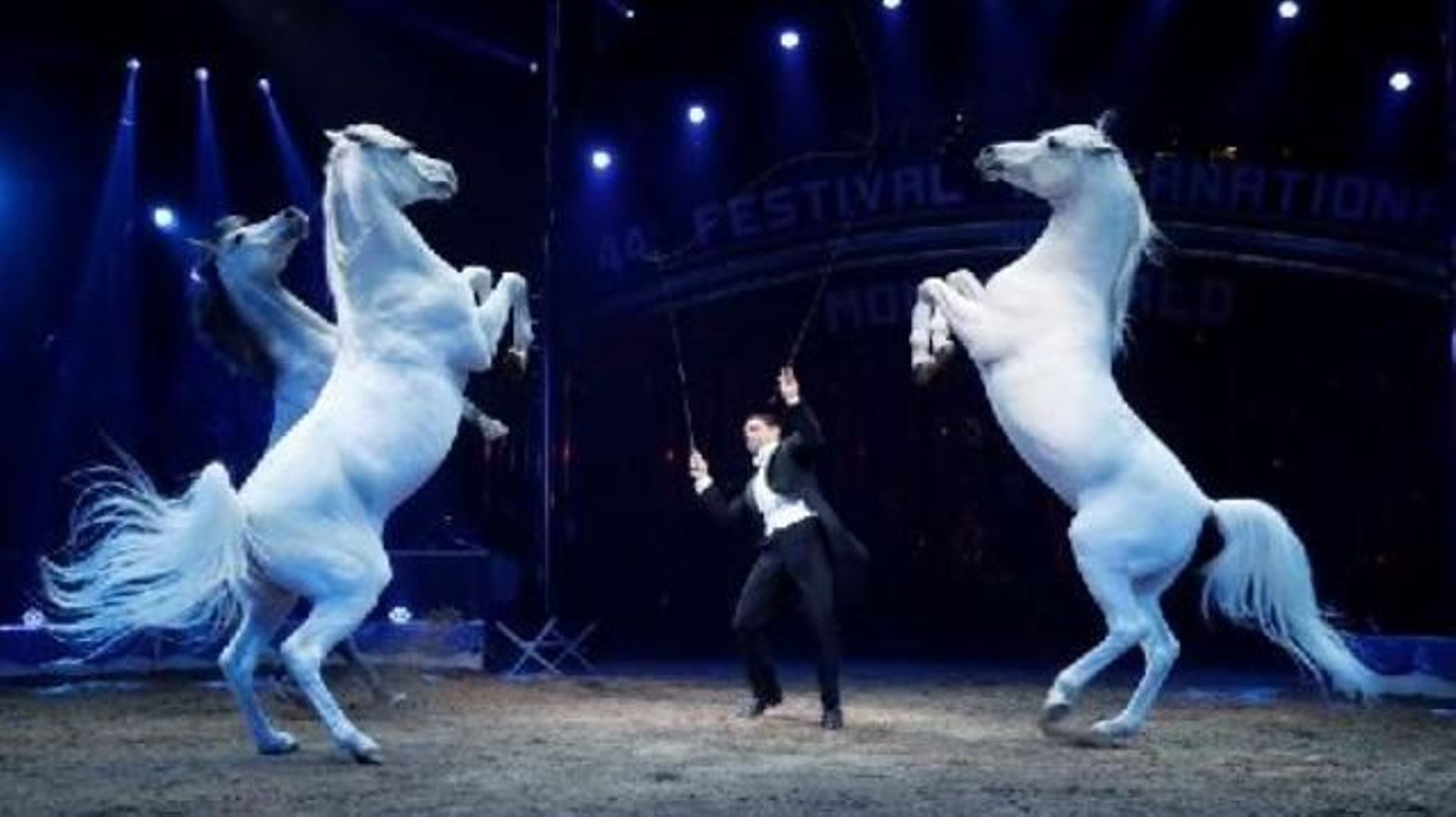 Le Festival international du cirque de Monte-Carlo de nouveau annulé en 2022