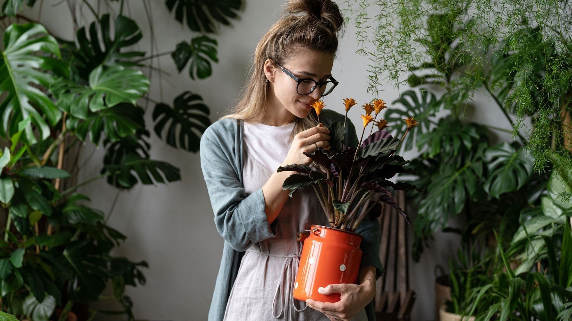 Comment ne pas faire mourir ses plantes ? Les conseils de la Youtubeuse Marion Botanical.
