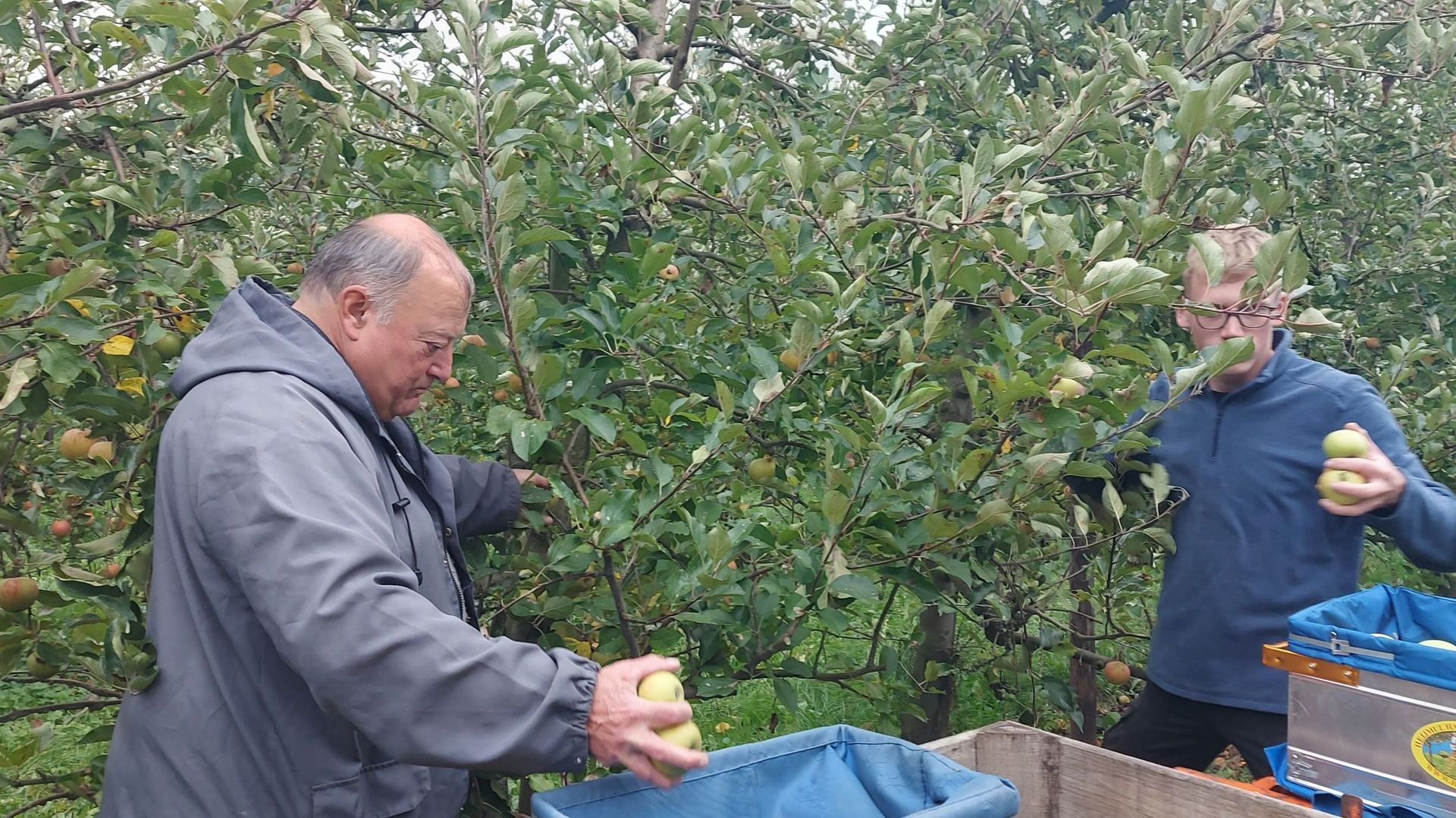 La Pommeraie, un verger professionnel bio préservé par un fou de nature
