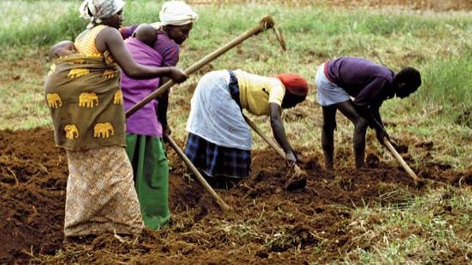 Agriculteurs au Rwanda