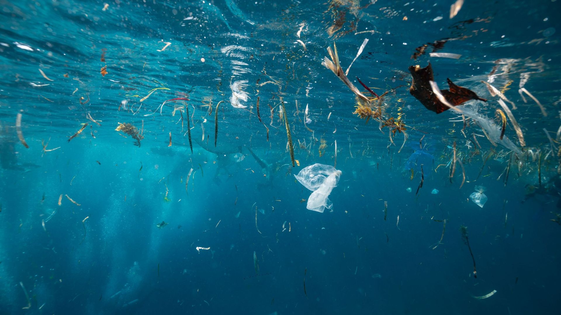Déchets plastique dans la Méditerranée 