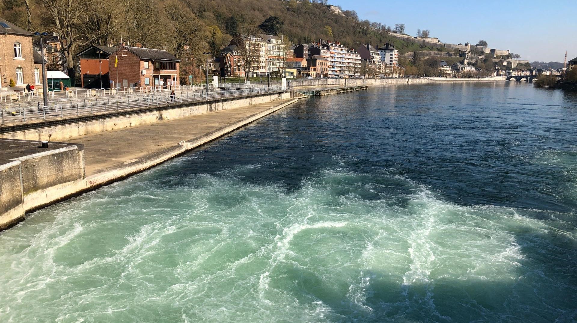 La Meuse transparente à certains endroits : les cours d'eau gagnent-ils actuellement en clarté ? 