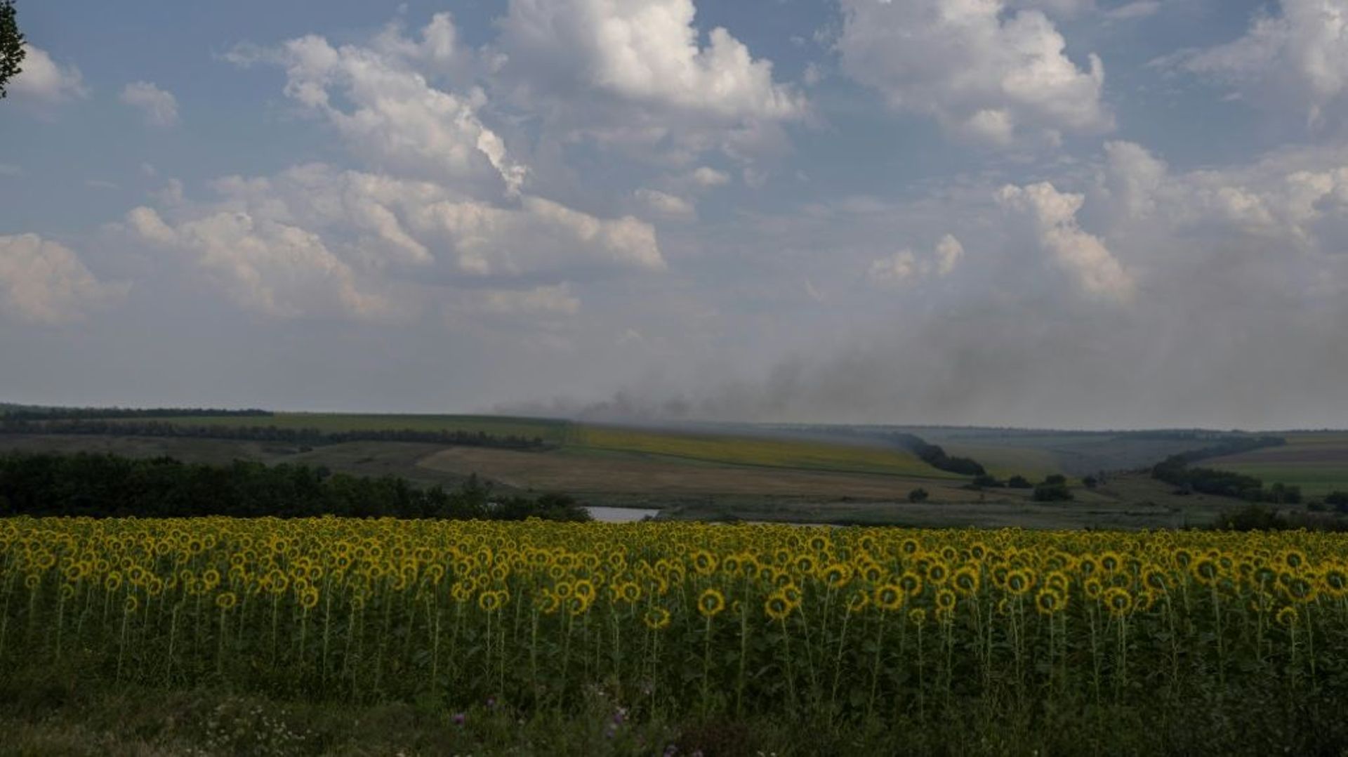 Une colonne de fumée à l’horizon, non loin d’un champ de tournesol, dans la région du Donbass, le 11 août 2022.