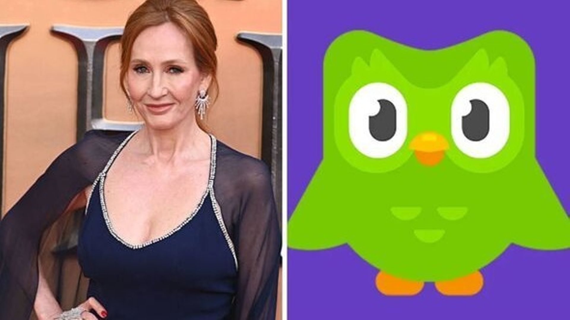 Pourquoi l’application Duolingo a-t-elle dû présenter ses excuses à J.K Rowling ?