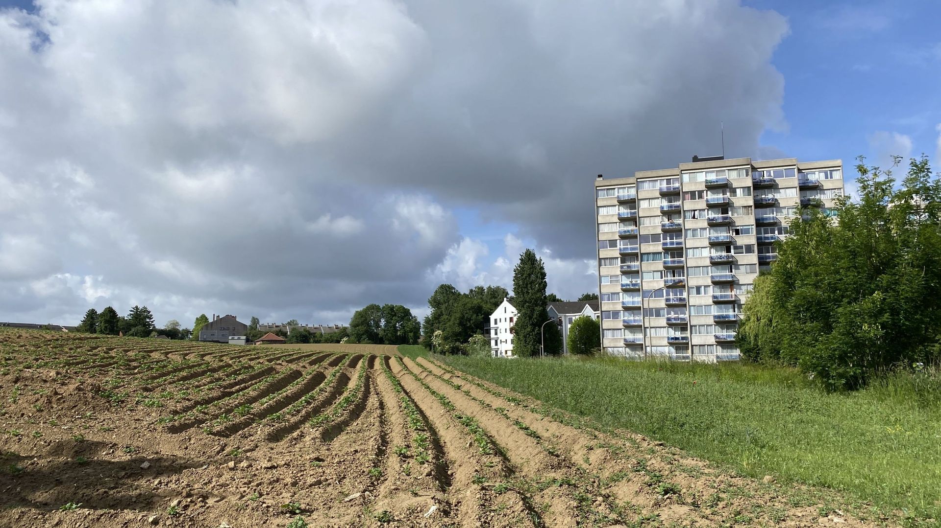 Fascines, haies et bandes enherbées : les agriculteurs nivellois mis à contribution dans la lutte contre les inondations – RTBF Actus