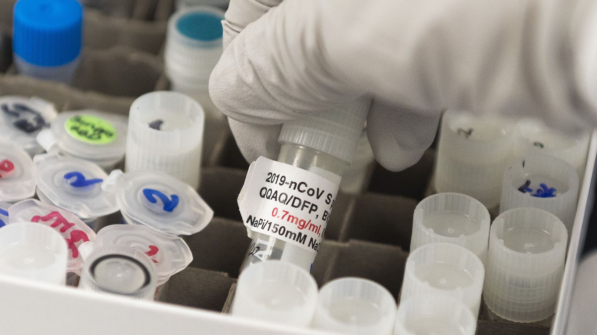 L’étude se déroule en Belgique et l’objectif est de tester le vaccin sur 260 volontaires.