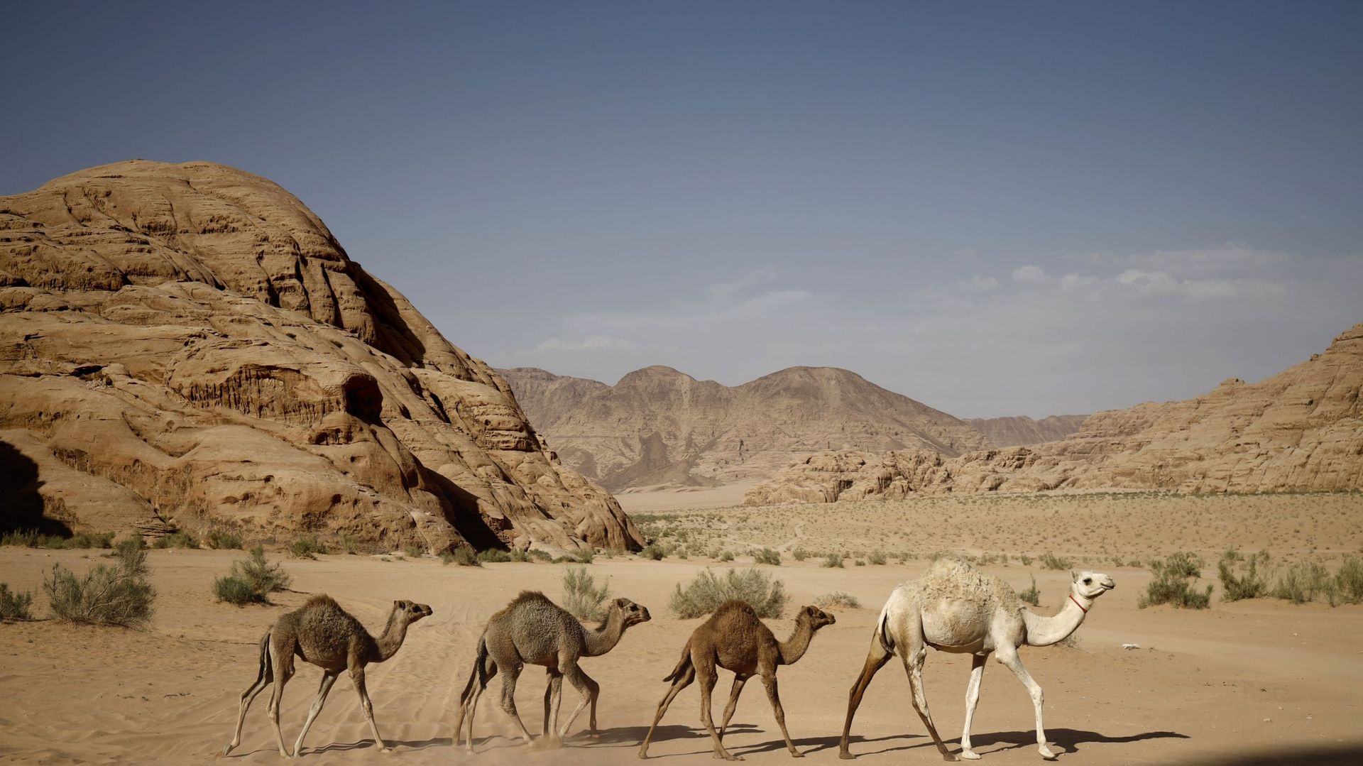 Les paysages de Jordanie, décor de choix pour Hollywood