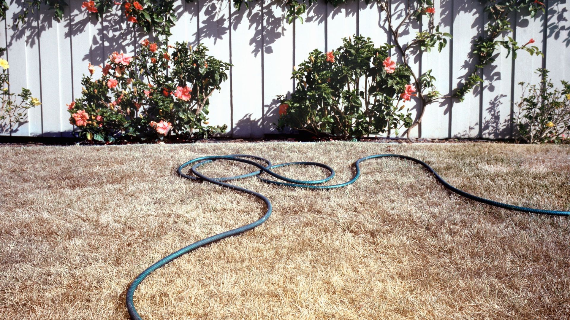 La vague de chaleur se poursuit