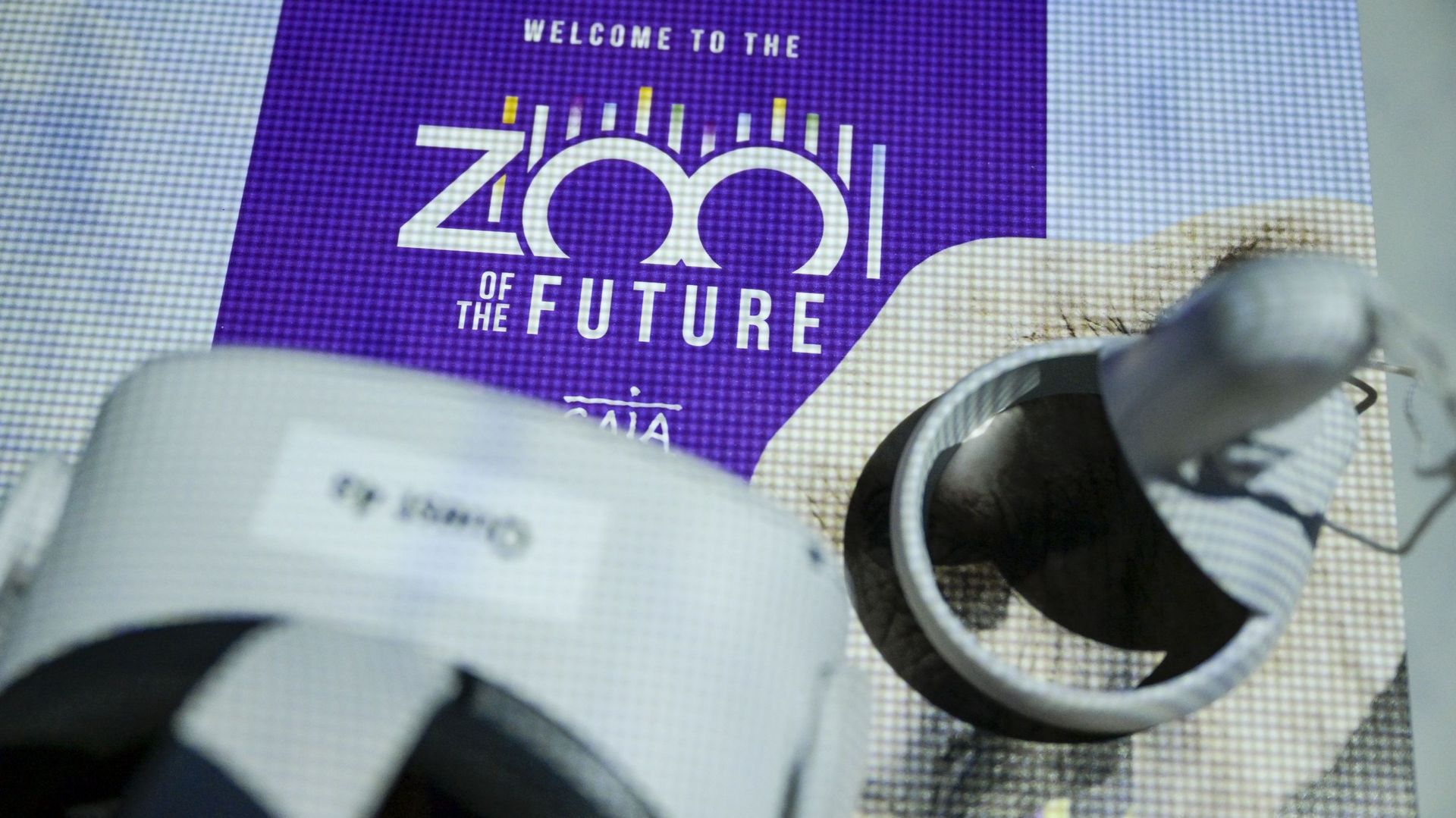 Gaia ouvre le premier jardin zoologique virtuel à Bruxelles
