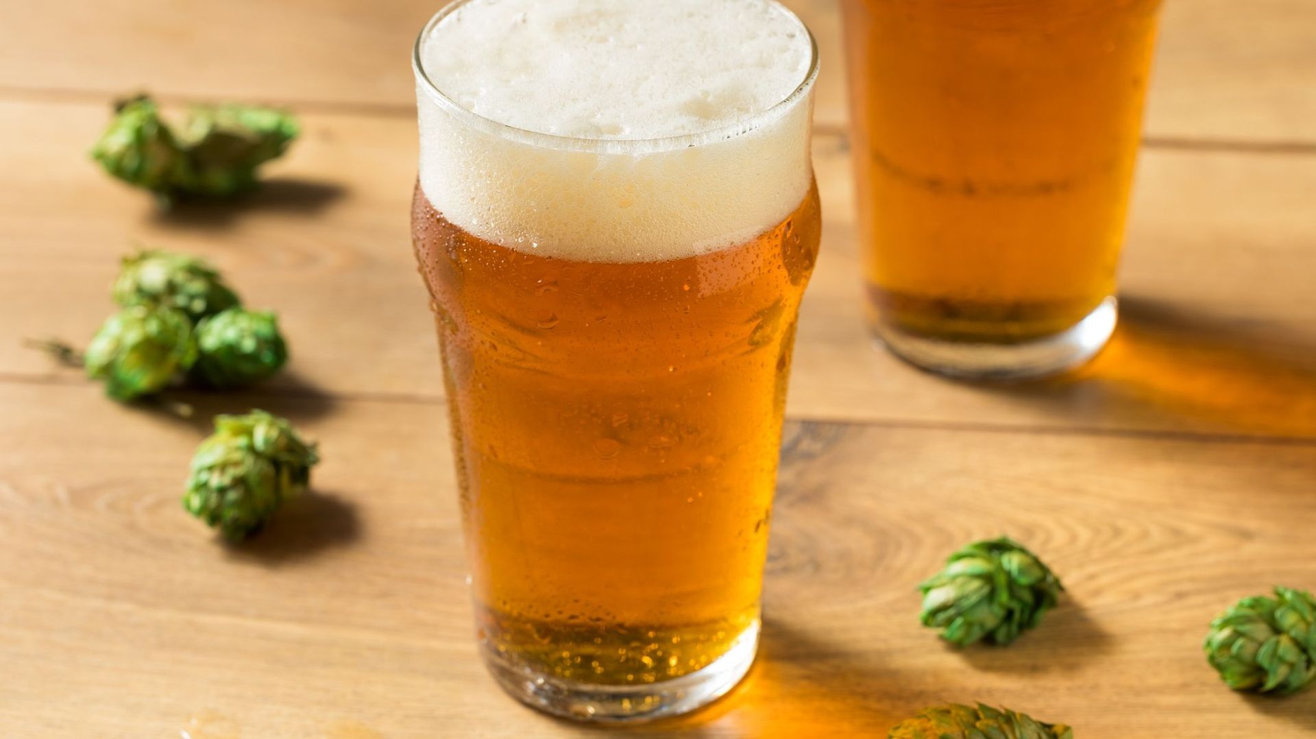 Houblon pour bière : à quoi sert le houblon dans la bière