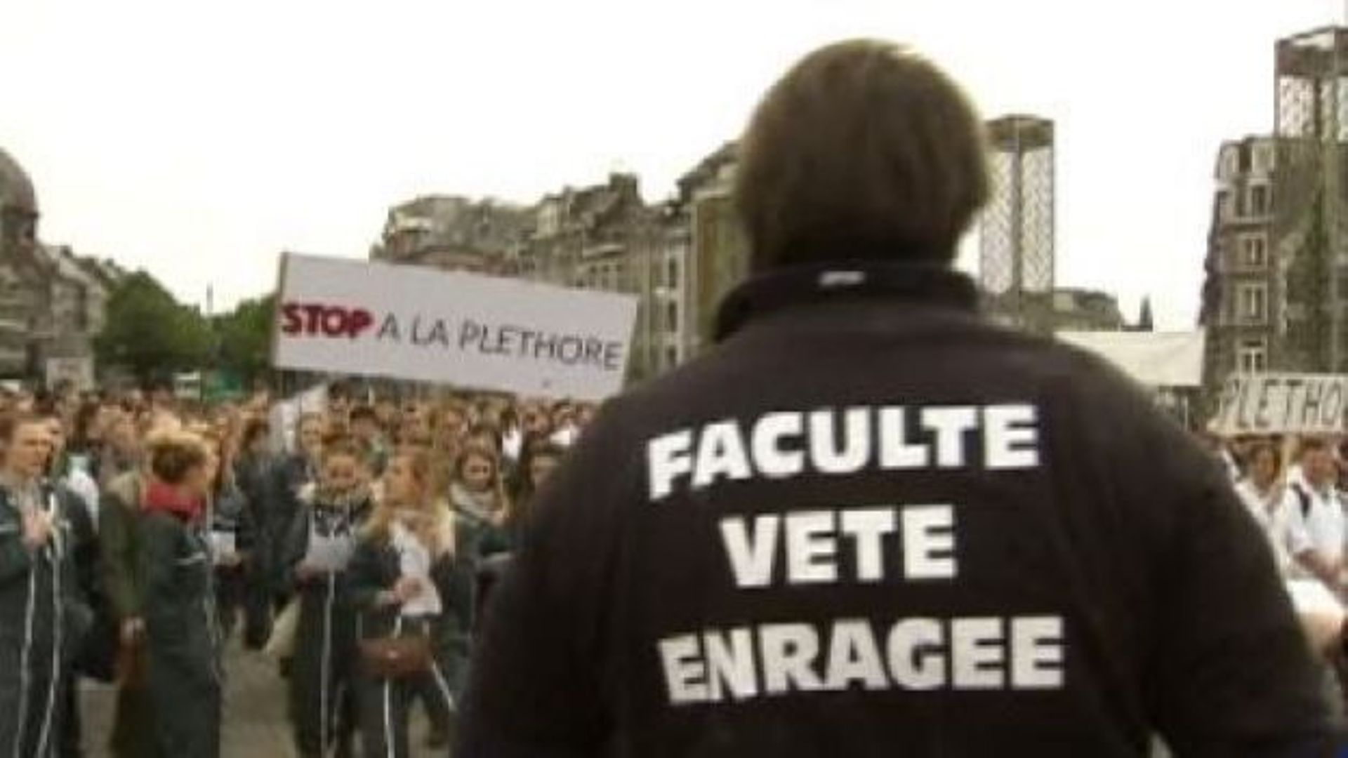 Bruxelles: manifestation des étudiants en médecine vétérinaire au Conseil des recteurs