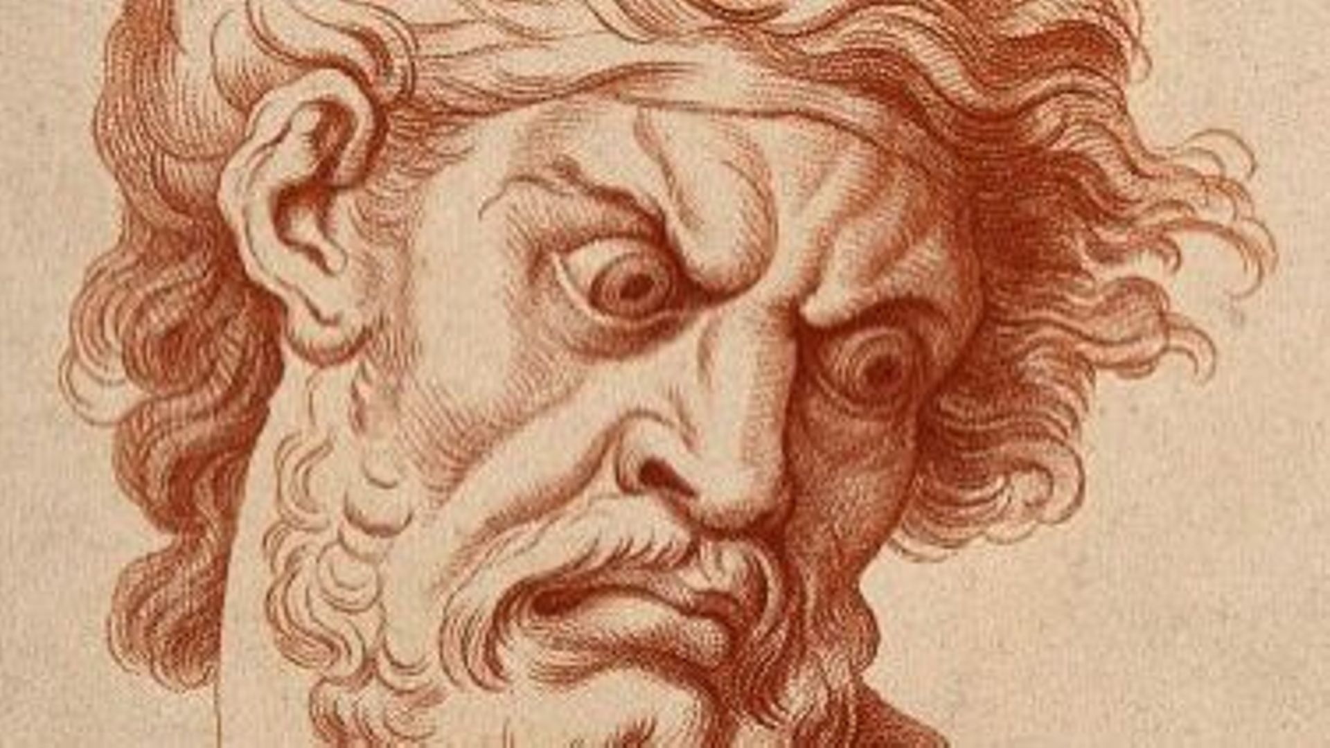 Expression des passions de l'âme : La Colère, tête de trois quarts à droite, de Charles Le Brun
