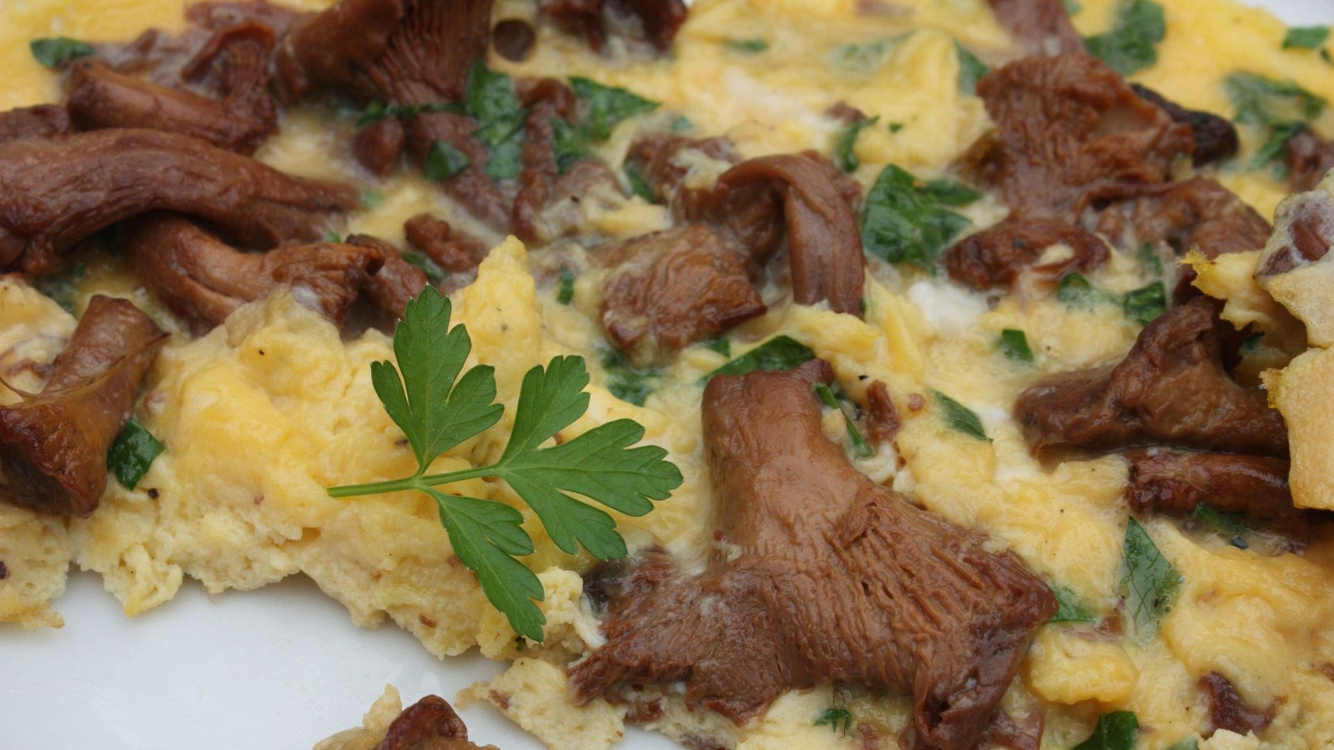 Recette : Omelette aux girolles - RTBF Actus