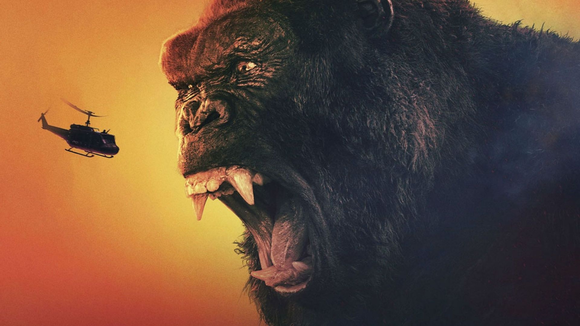 King Kong s'apprête à envahir la télévision