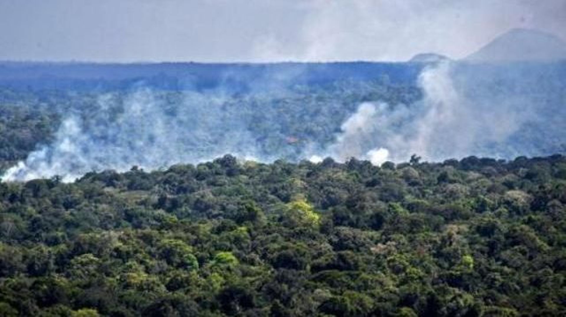 Près de 8.500 km2 de forêt amazonienne déboisés en 2020