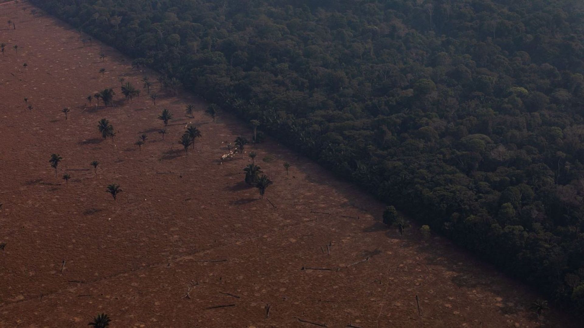 Le gouvernement brésilien promet de réduire la déforestation de l'Amazonie