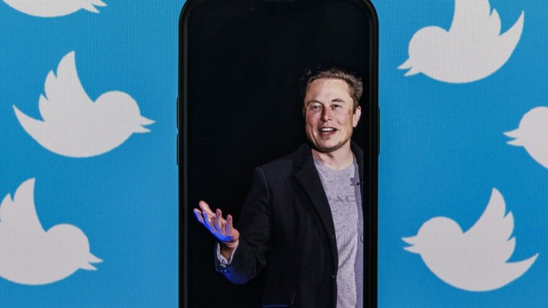 Une photo d'Elon Musk sur l'écran d'un smartphone, le 5 août 2022 à Washington