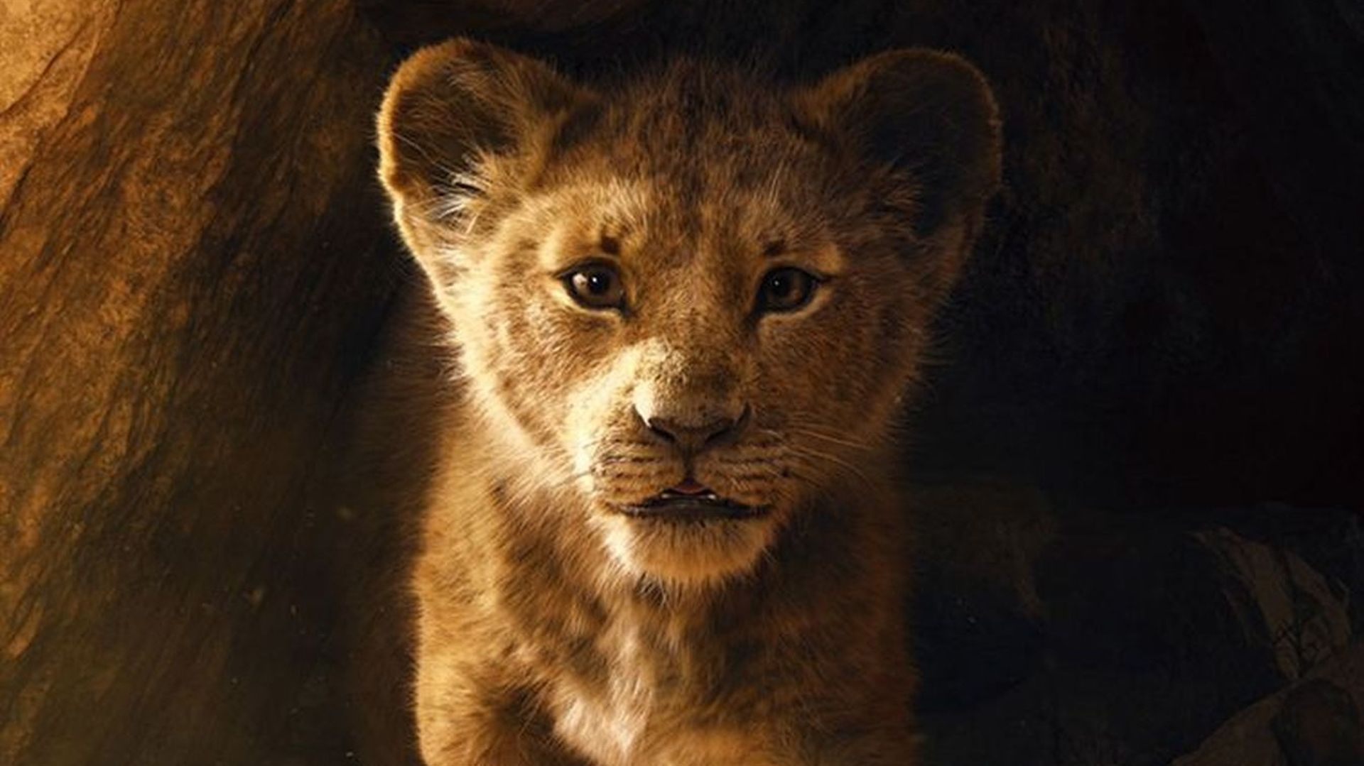 le-roi-lion-une-bande-annonce-magique-pour-le-remake-du-classique-de-disney