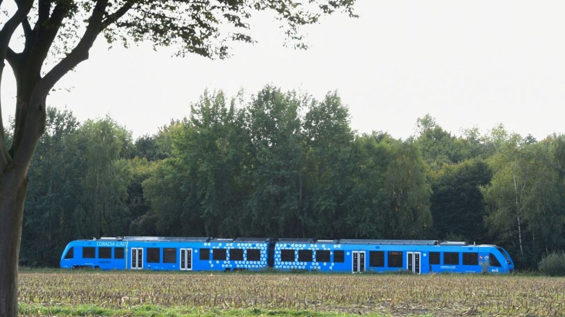 Un train à hydrogène fabriqué par Alstom, le 16 septembre 2018 à Bremervoerde, en Allemagne
