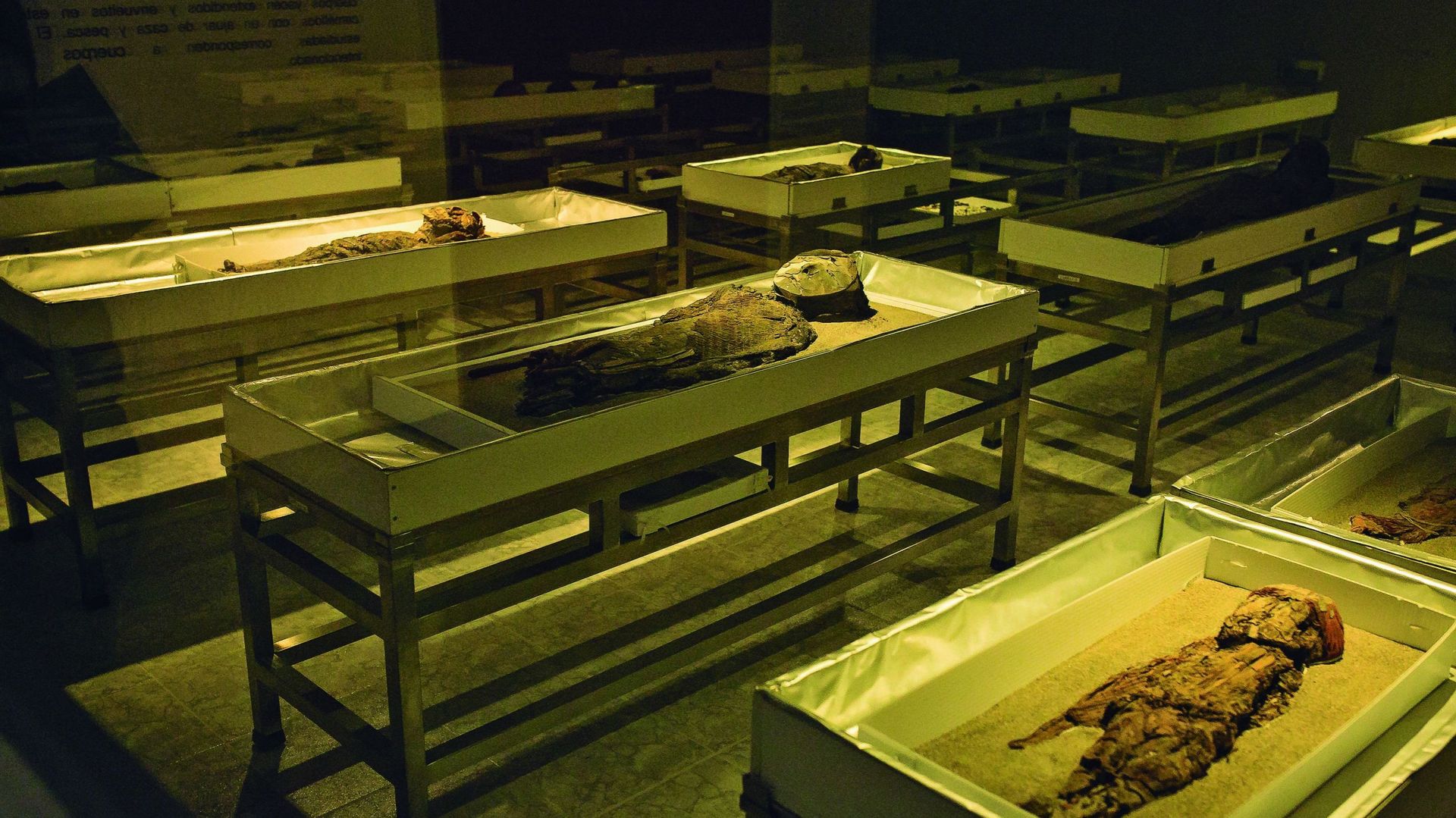 Photo de document publiée par le Centro Gestion Chinchorro de momies à Chinchorro, dans le nord du Chili