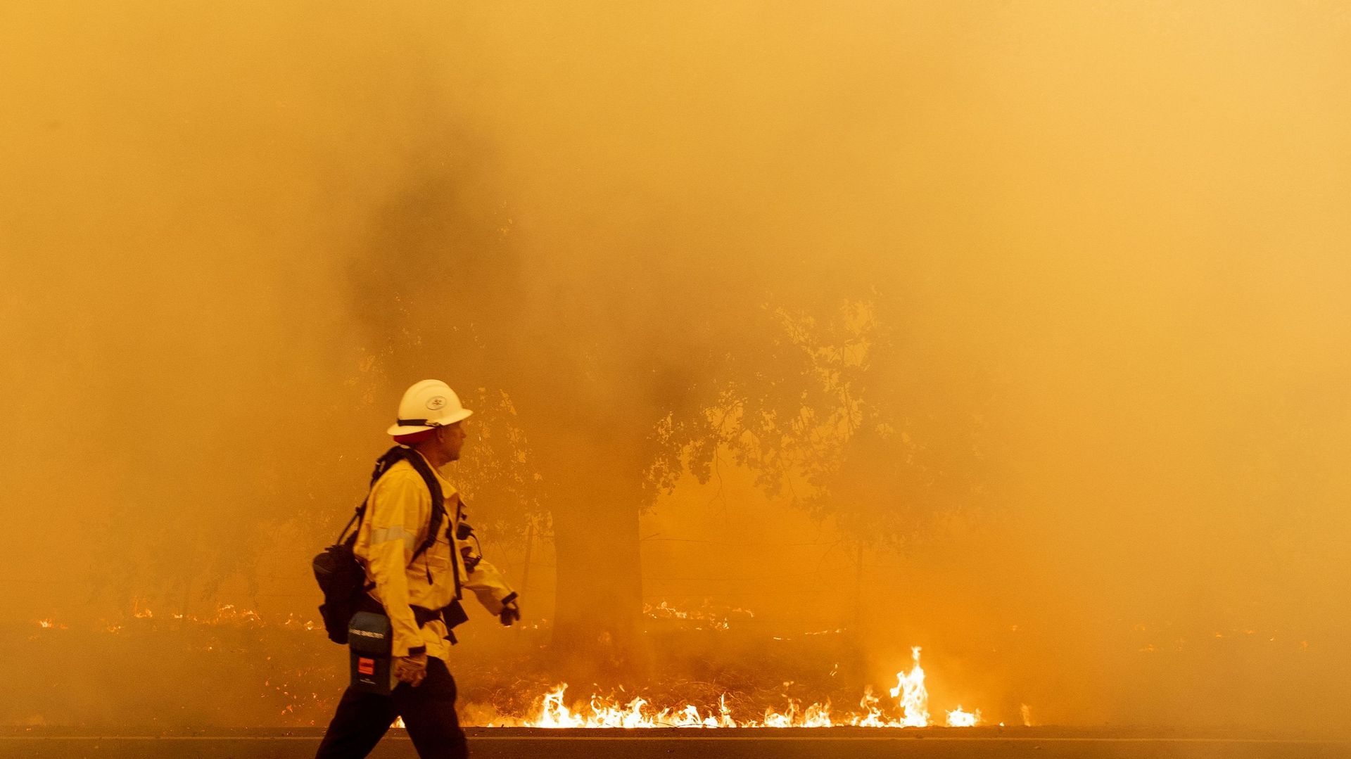 Le gouverneur californien demande l'aide de l'Australie et du Canada contre les incendies