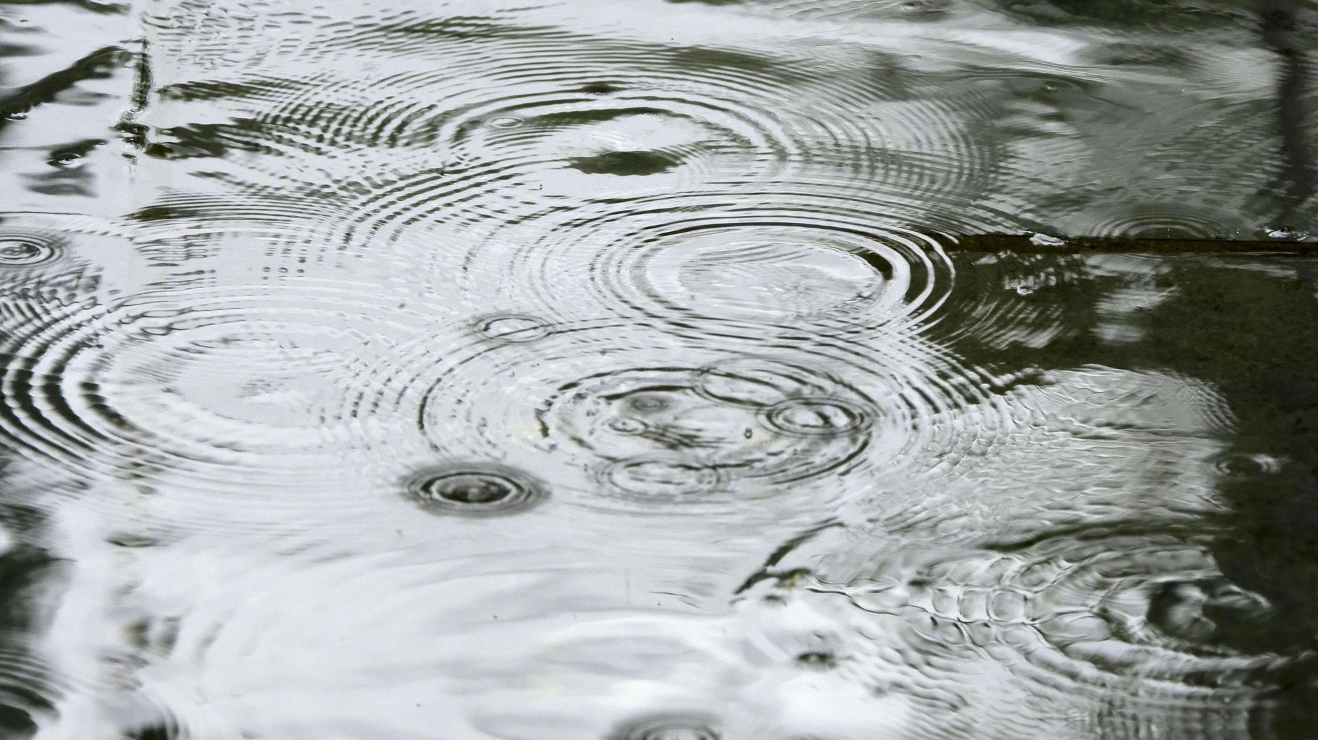 La pluie était annoncée