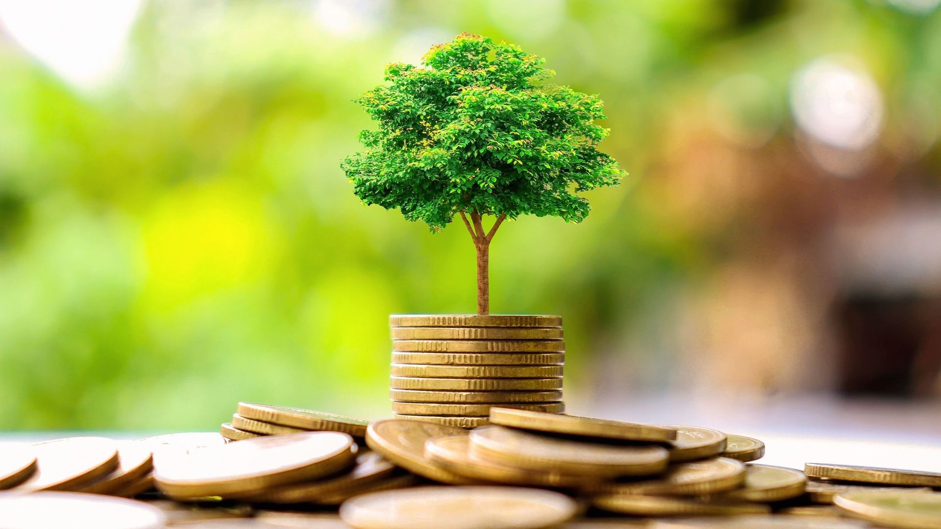 Changer de banque tout en gardant son numéro de compte ? Pas si vite