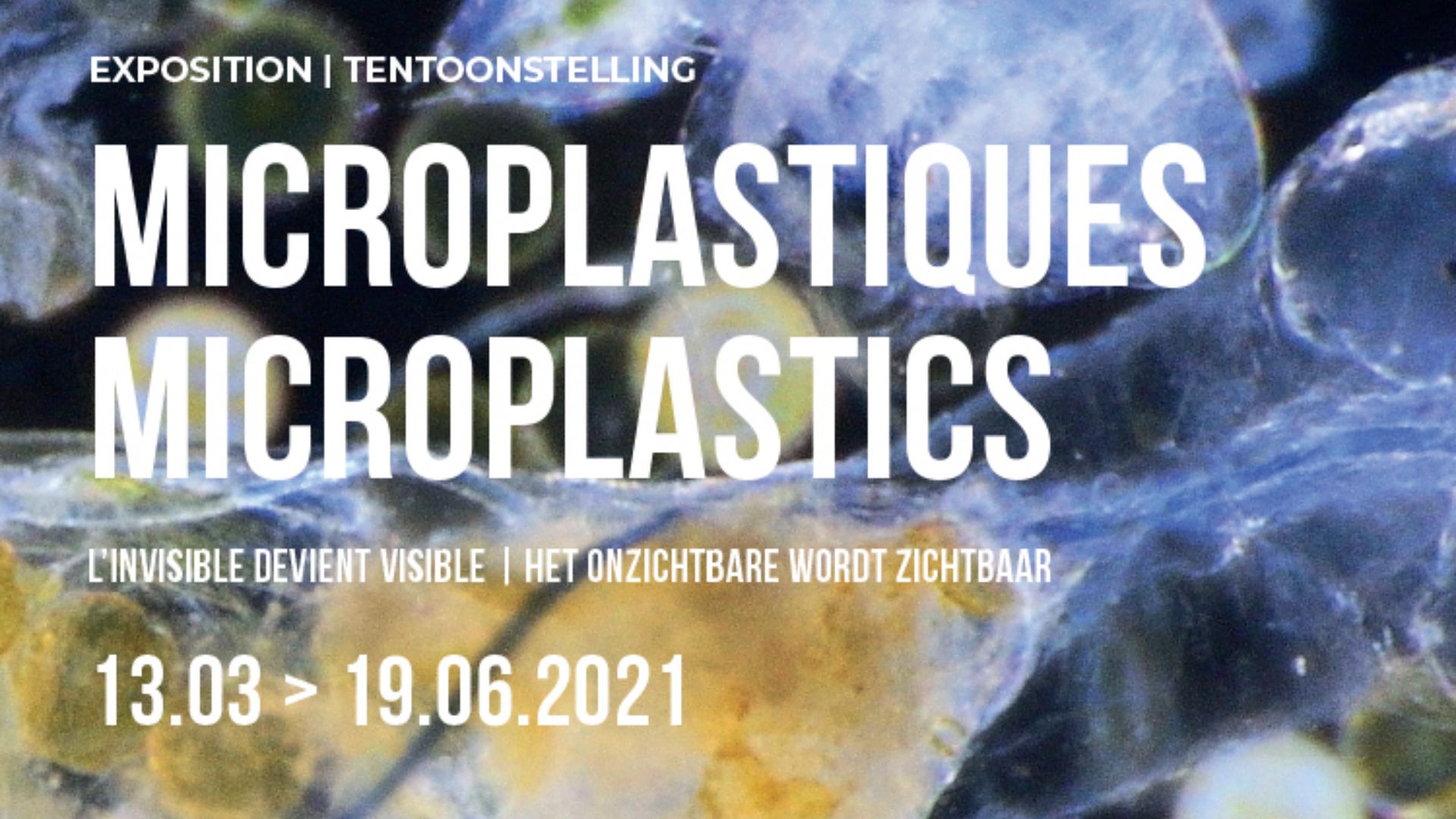 "Microplastiques" : une expo pour lutter contre la pollution des eaux, au Musée des égouts de Bruxelles