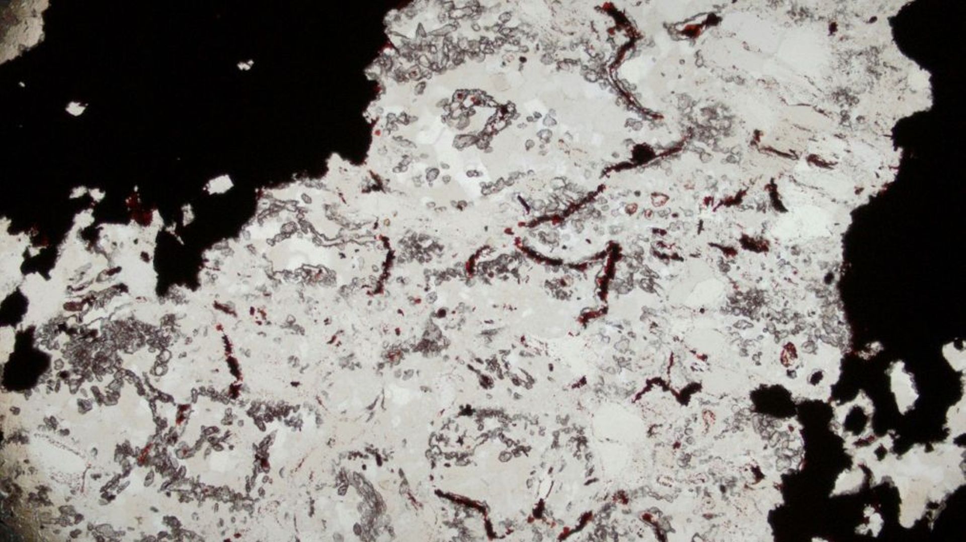 Les scientifiques ont mis en évidence ces microfossiles dans des couches de quartz du site géologique de la ceinture Nuvvuagittuq, au nord-est du Québec (Canada). 