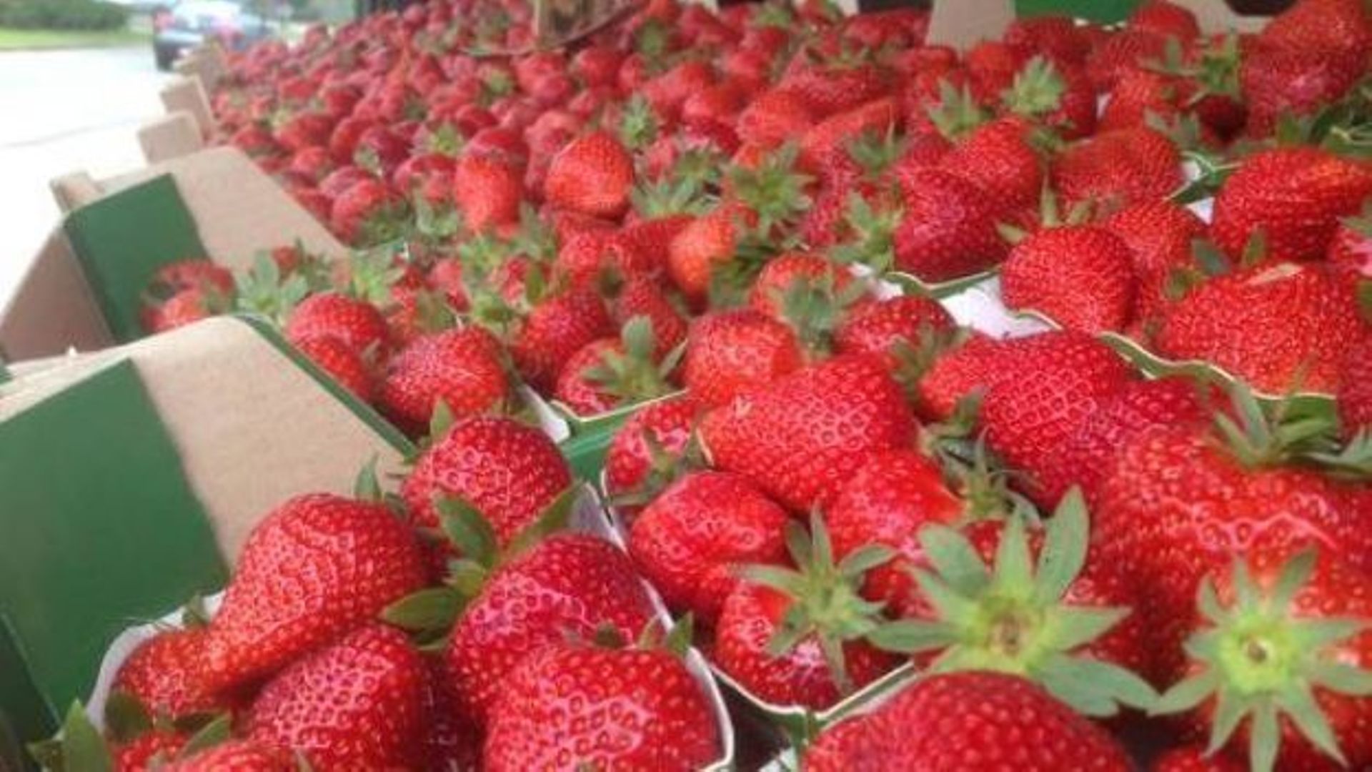 Les fameuses fraises de Wépion