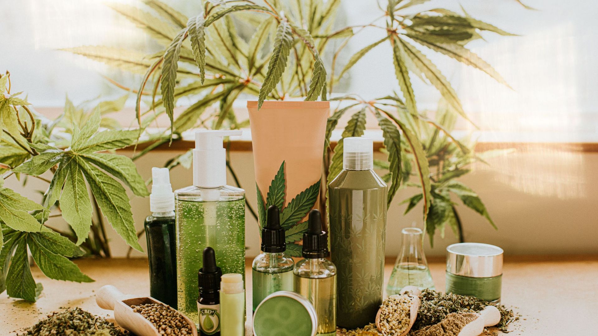 Still-Life Selection of CBD products, conveying vast possibilities of cannabis as an Ingredient in an Alternative therapies, Lifestyle and treatments.