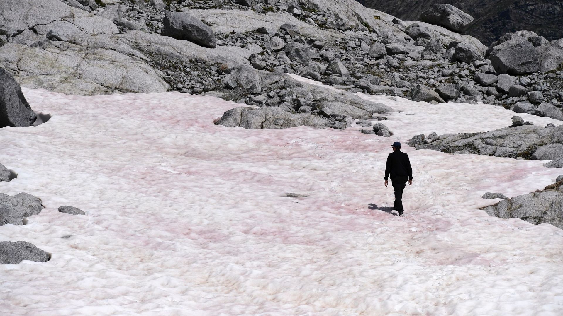La mystérieuse neige rose d'un glacier des Alpes italiennes
